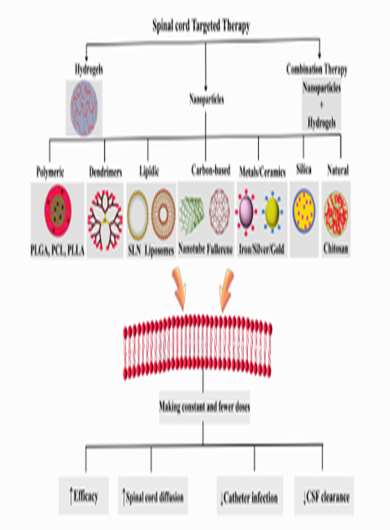 On the therapeutic targets and pharmacological treatments for pain relief following spinal cord injury: A mechanistic review